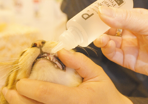 株式会社エヌ・シー 