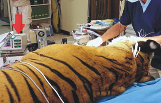 KAWAGUCHI i-mono（かわぐちいいもの）川口市内の事務所で製造した優れた特徴のある製品・部品