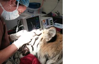 KAWAGUCHI i-mono（かわぐちいいもの）川口市内の事務所で製造した優れた特徴のある製品・部品